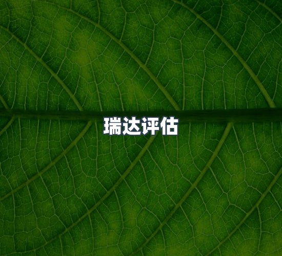 关于瑞达评估